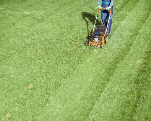 Professional gardener in protective workwear cutting grass with gasoline lawn mower on the backyard, View from above with copy space