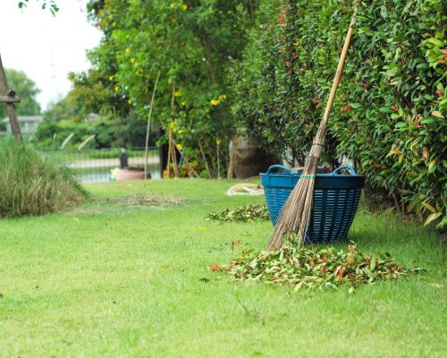 gardening-work-at-the-backyard-of-house-2021-09-03-03-32-41-utc